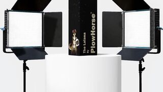 The Lalana Fleshlight Commercial - by Plowhorse