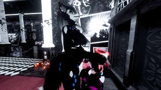 Taking Care Of My Pet