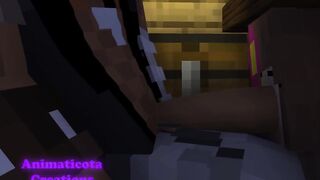 Jenny's Visit Minecraft Sex Mod