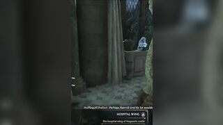 ALL DEMIGUISE STATUE LOCATIONS PART 1 of 12 (STATUES 1 - 3) - TLDR GUIDE - Hogwarts Legacy