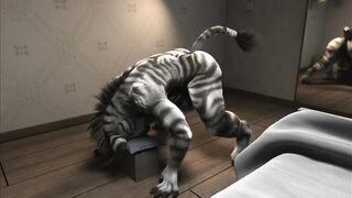 How Zebra enjoy by himself HD by h0rs3