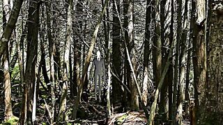 Free Stock Footage Forest Slenderman