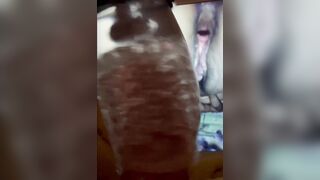 Rose toy ???? playtime????????????