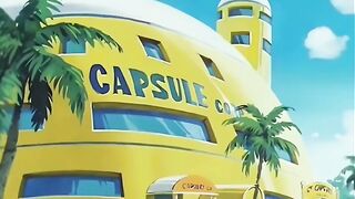 Bulma and chichi from dragon ball