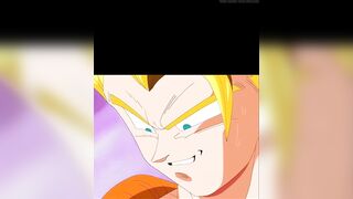 Bulma and chichi from dragon ball