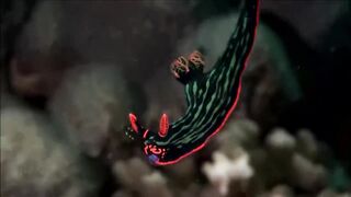 Расслабляющие видео после дрочки