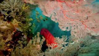 Расслабляющие видео после дрочки