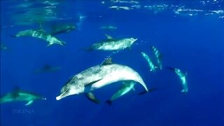 Расслабляющие видео после дрочки