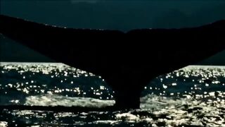 Расслабляющие видео после дрочки