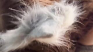 Puppy playtime with KattheKuntt part 1