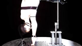 Trapped Slave Fucked by Fuck Machine Hardcore 3D BDSM Animation
